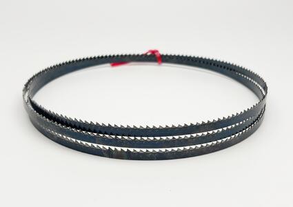 Carbon Flexback 6x0,65 mm TPI 8 Reg