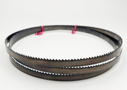 Carbon Flexback 10x0,65 mm TPI 8 Reg