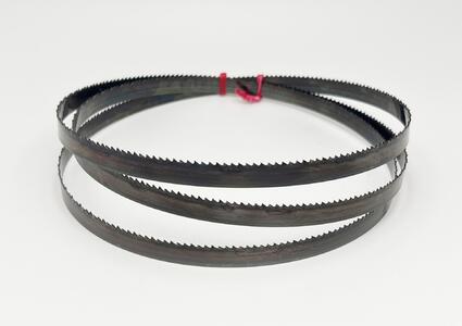 Carbon Flexback 10x0,65 mm TPI 10 Reg