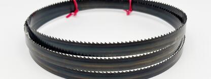 Carbon Flexback 13x0,65 mm TPI 8 Reg