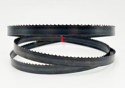 Carbon Flexback 13x0,65 mm TPI 6 Skip