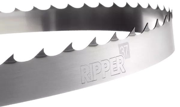Log band saw blades: properties, advantages and applications 🪵 | Dudr Saw